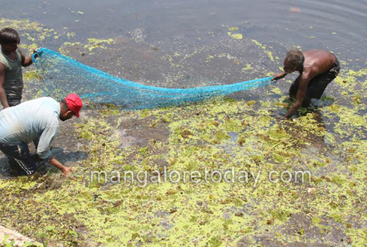 MLA JR Lobo inspects Gujjarakere lake 1